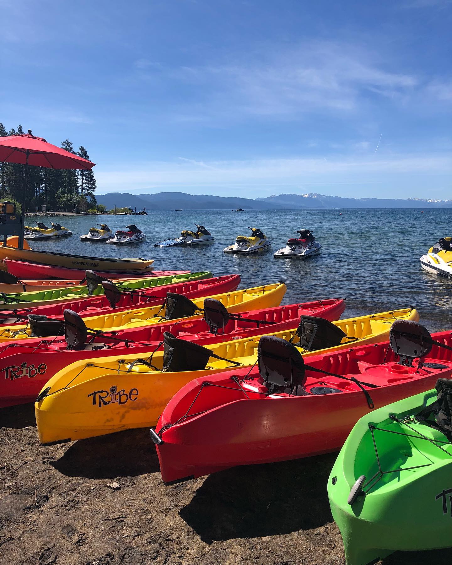 Paddle Board Rentals